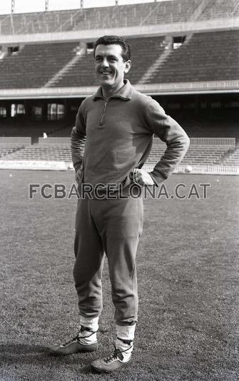 MIQUEL